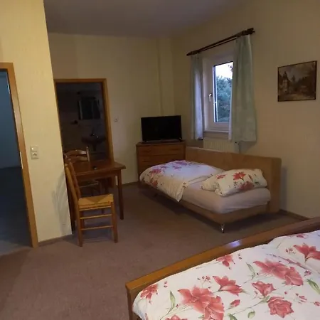 Hotel Gasthof Pension Haus Waldfrieden Medebach