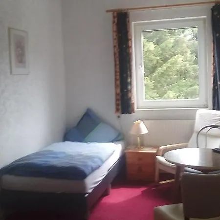 Gasthof Pension Haus Waldfrieden 3* Medebach